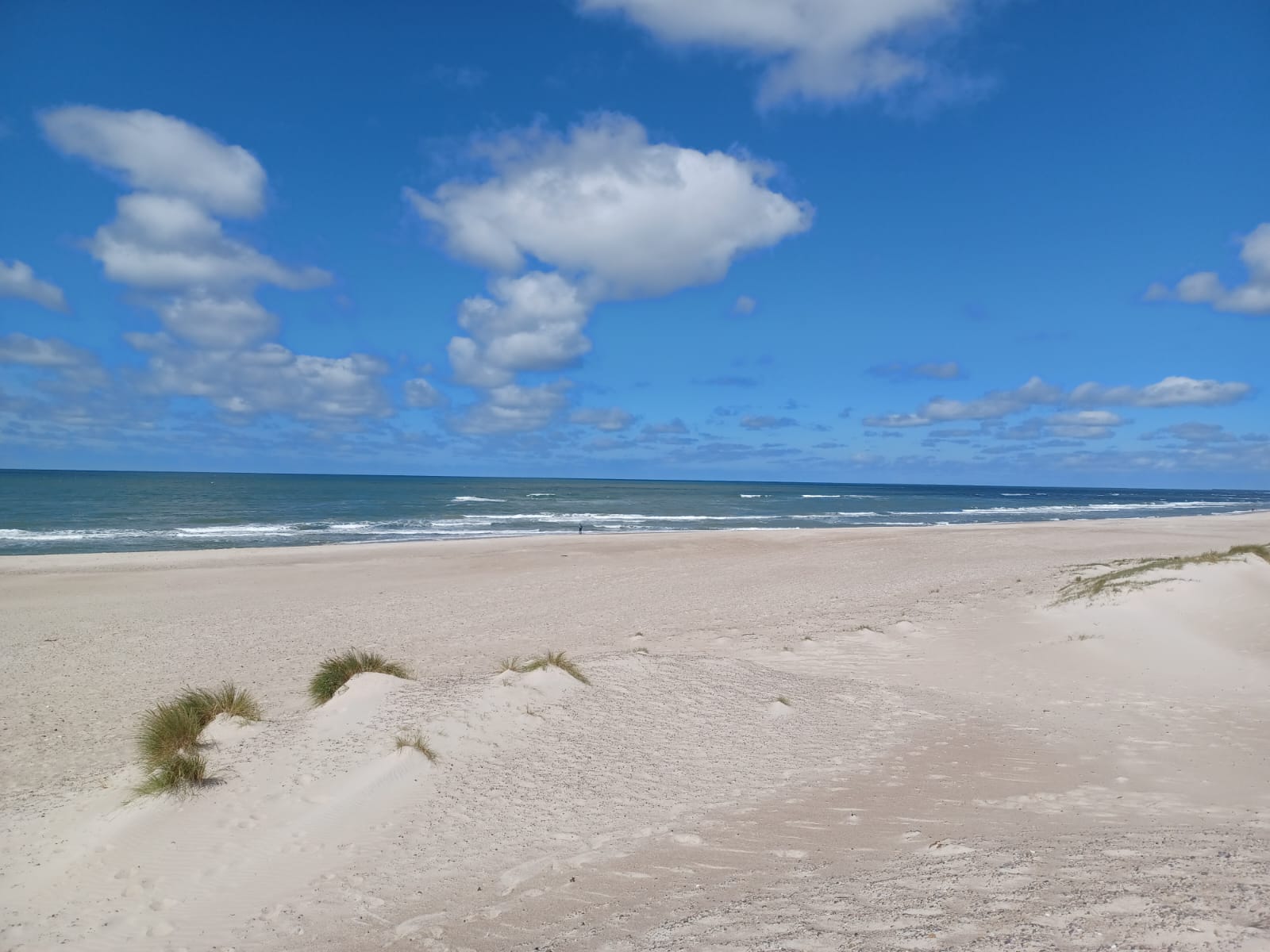 Photo de Skodbjerge Beach avec un niveau de propreté de très propre