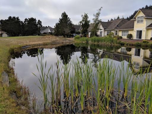 Golf Course «Ocean Dunes Golf Course», reviews and photos, 15 Onadoone Ct, Florence, OR 97439, USA