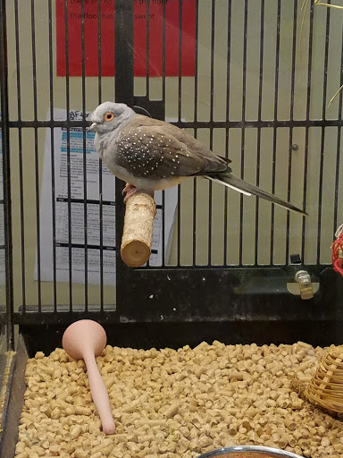 Pet Supply Store «PetSmart», reviews and photos, 950 Hanes Mall Blvd, Winston-Salem, NC 27103, USA