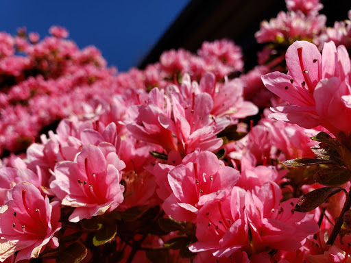 Visitor Center «City of Seaside Visitors Bureau», reviews and photos, 7 N Roosevelt Dr, Seaside, OR 97138, USA