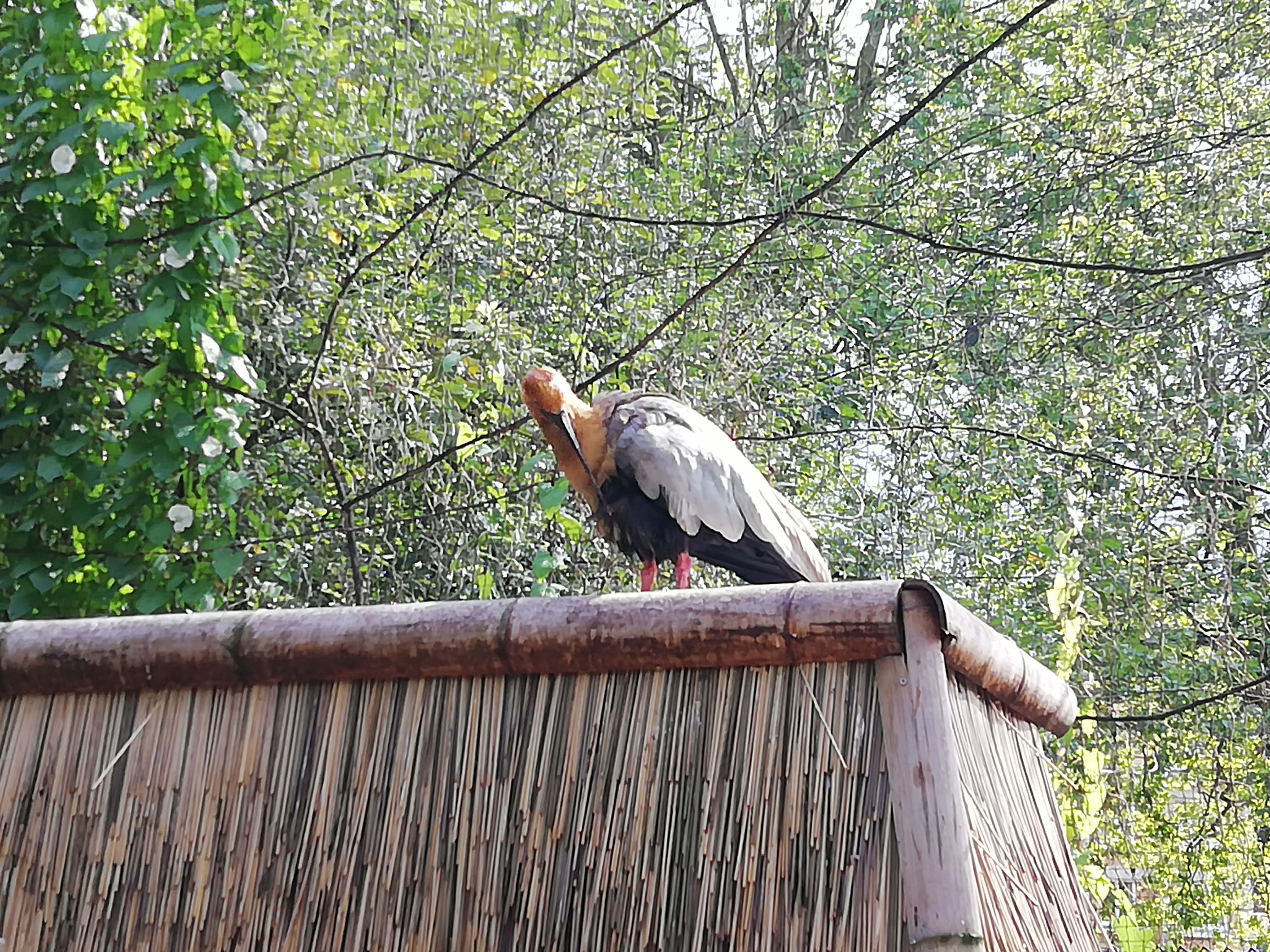 Photo n° 11 de l'avis de José.a fait le 22/08/2021 à 22:03