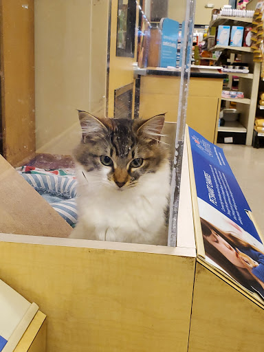 Pet Supply Store «PetSmart», reviews and photos, 849 E 23rd St, Panama City, FL 32405, USA