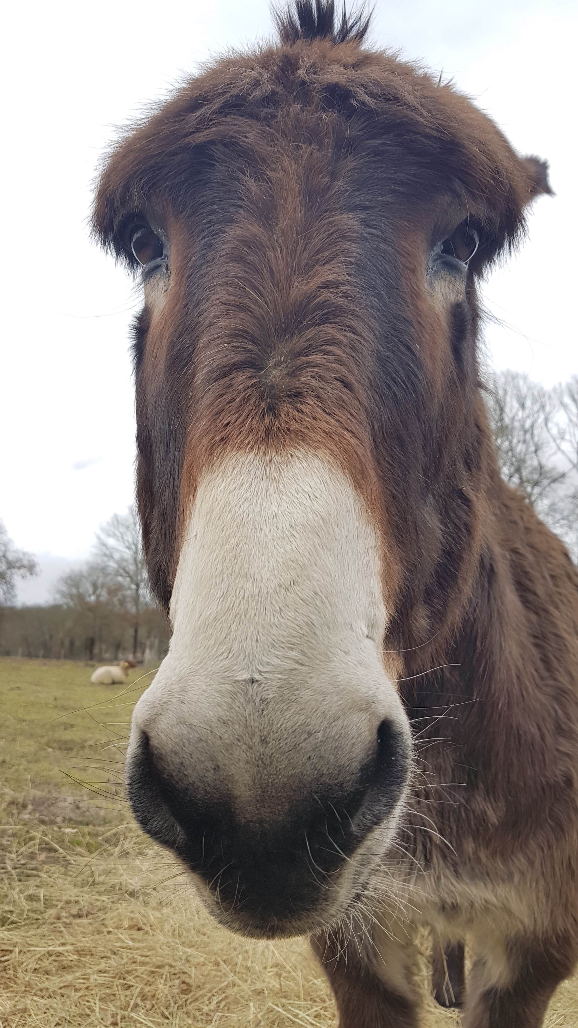 Photo n° 7 de l'avis de Thierry.a fait le 09/02/2019 à 16:21