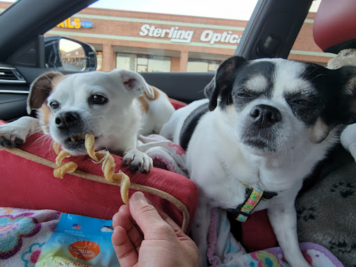 Pet Supply Store «Concord Pet Foods & Supplies», reviews and photos, 19287 Miller Rd, Rehoboth Beach, DE 19971, USA