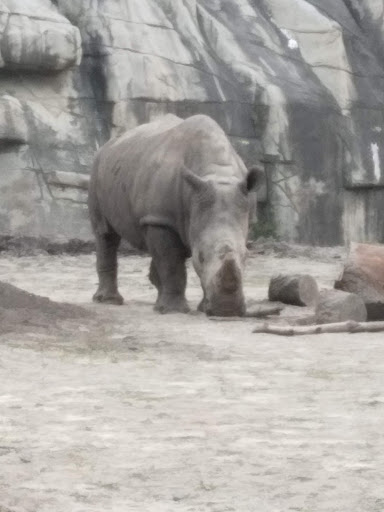 Zoo «Arctic Ring of Life», reviews and photos, 8450 W 10 Mile Rd, Royal Oak, MI 48067, USA