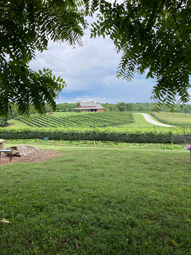 Winery «CeNita Vineyards, Winery & Tasting Room», reviews and photos, 591 Dock Dorsey Rd, Cleveland, GA 30528, USA