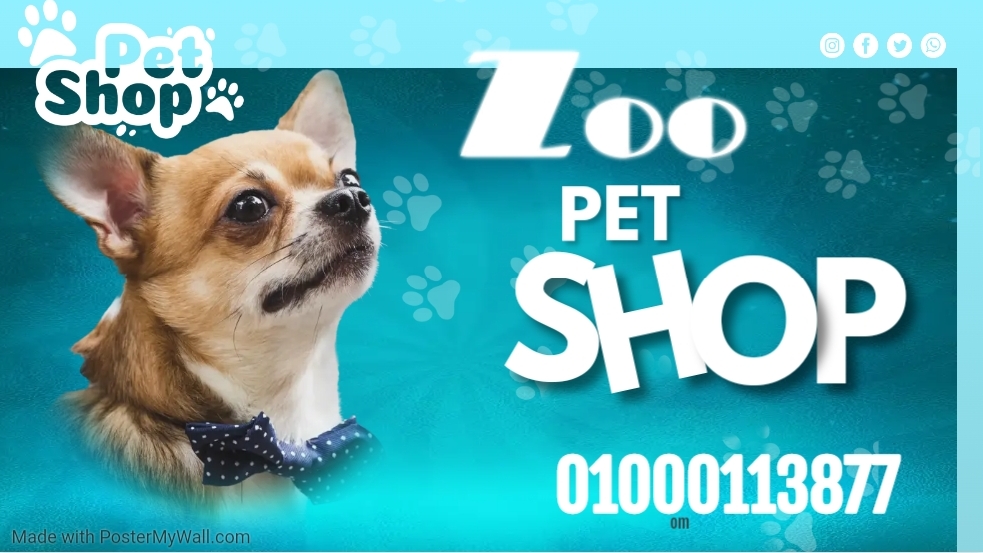 Zoo Pet Shop