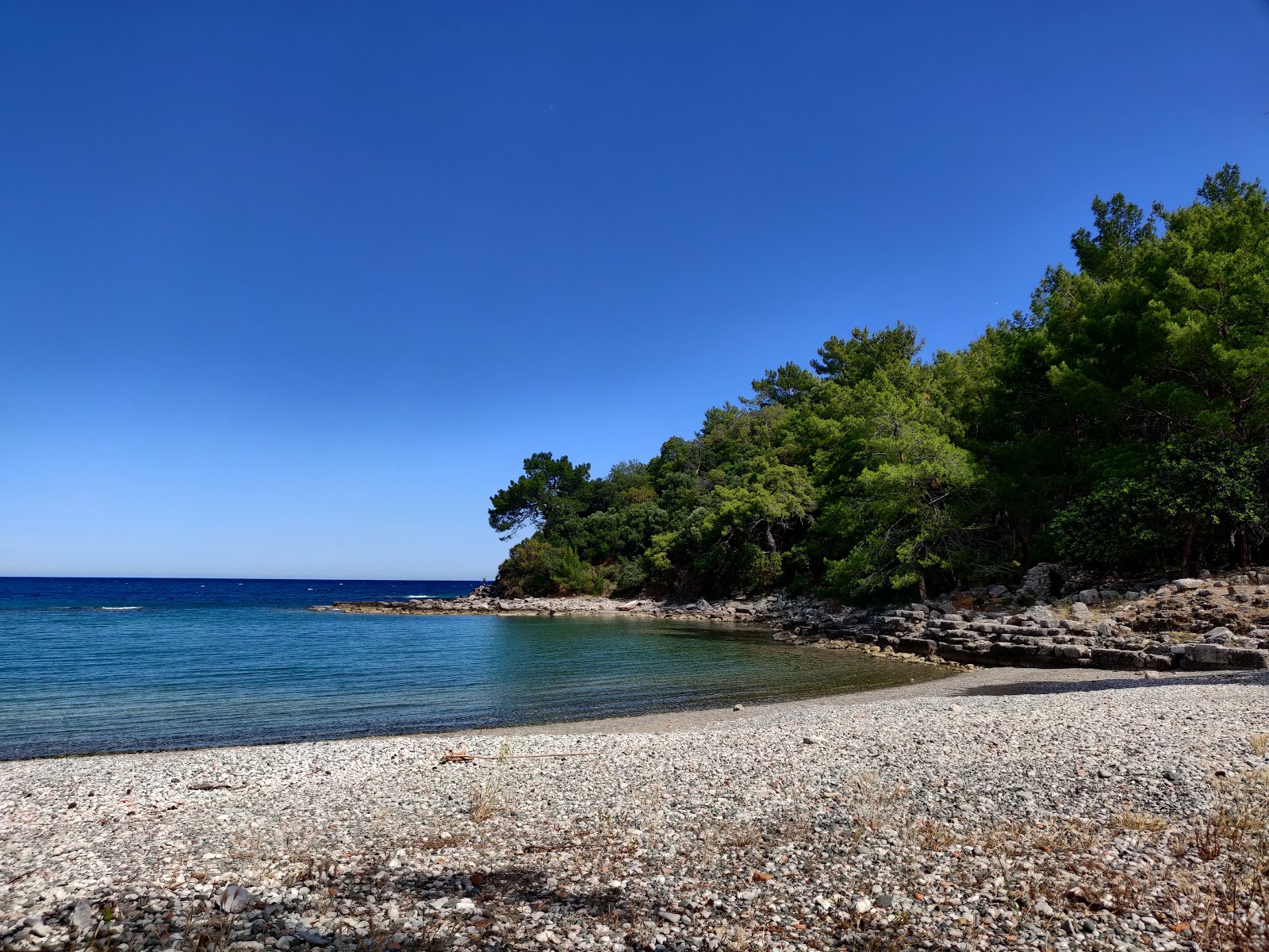 Photo of Phaselis beach with black sand & pebble surface