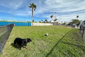 Madeira Beach Dog Park image