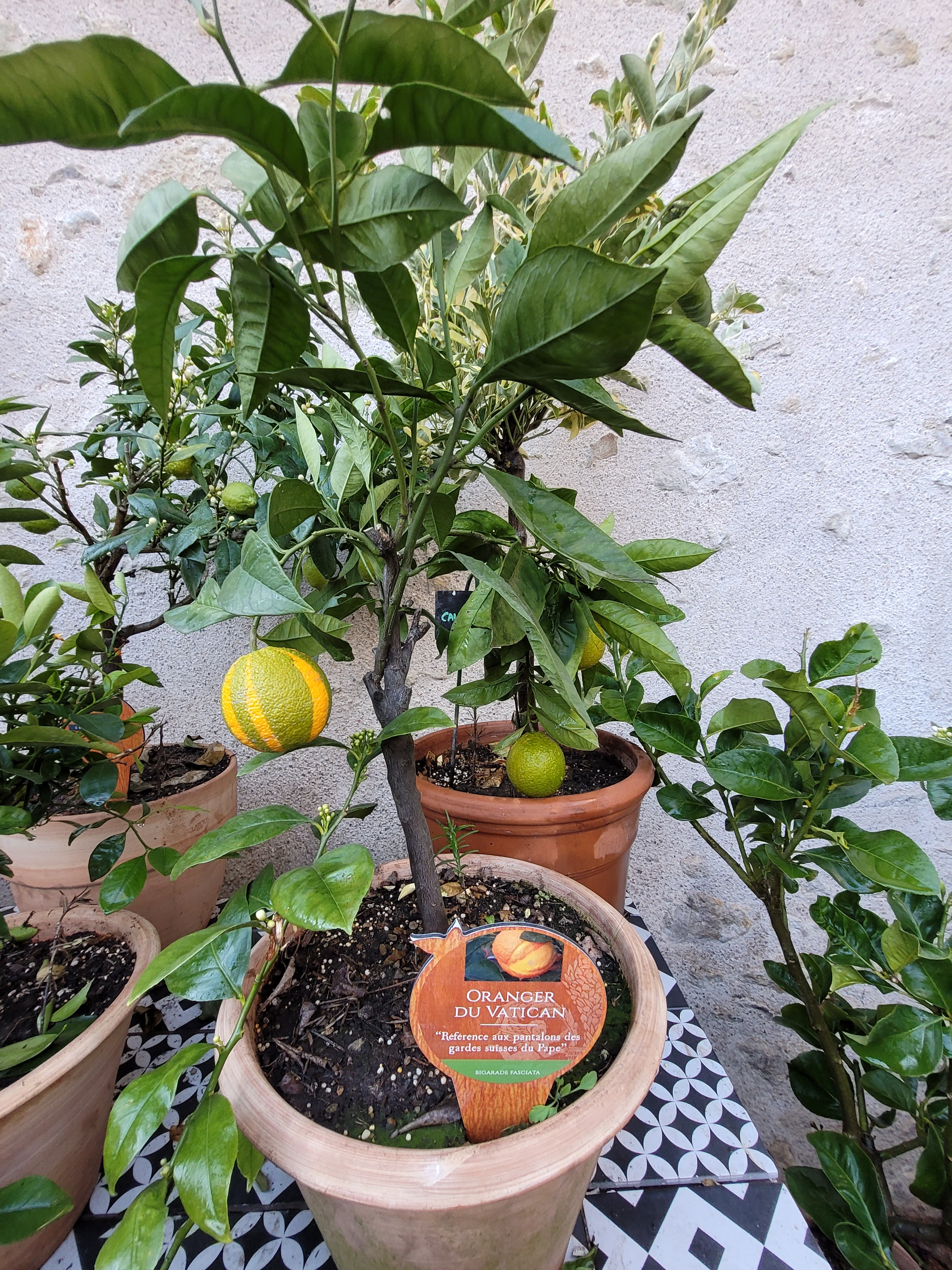 Photo n° 1 de l'avis de Anne.a fait le 15/02/2023 à 17:11