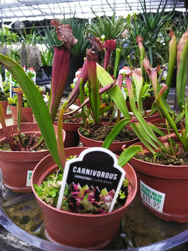 Plant Nursery «Goldner Walsh Garden and Home», reviews and photos, 559 Orchard Lake Rd, Pontiac, MI 48341, USA