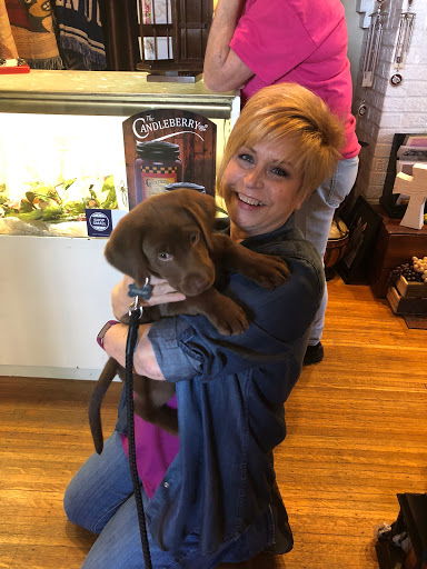 Gift Shop «Pathelen Flower & Gift Shop, Inc», reviews and photos, 1038 Main St, Shelbyville, KY 40065, USA