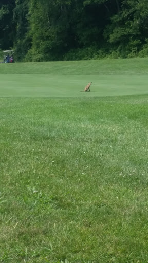 Golf Club «Cape May National Golf Club», reviews and photos, 834 Florence Avenue, Cape May, NJ 08204, USA