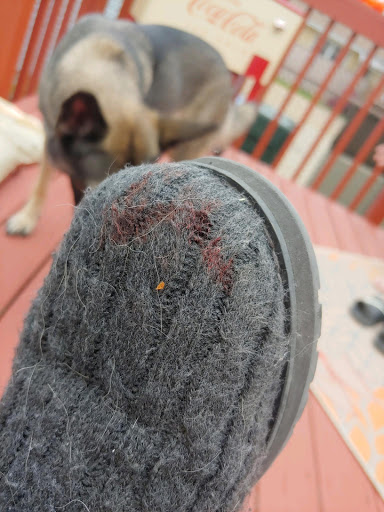 Pet Supply Store «PetSmart», reviews and photos, 4824 211th St, Matteson, IL 60443, USA