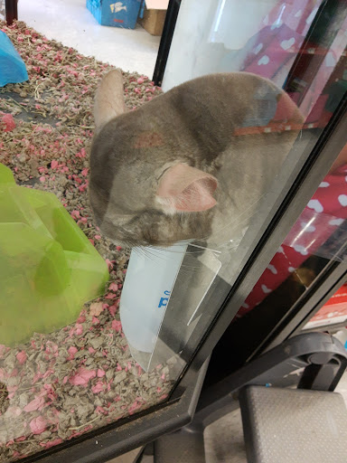 Pet Supply Store «Petco Animal Supplies», reviews and photos, 4012 W 27th Ave, Kennewick, WA 99337, USA