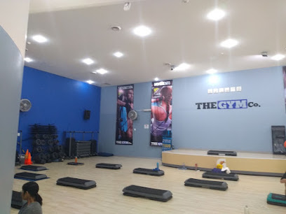 THEY GYM CO