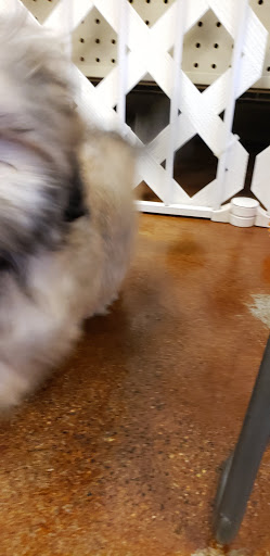 Pet Store «Fairwood Pet Center», reviews and photos, 14201 SE Petrovitsky Rd, Renton, WA 98058, USA