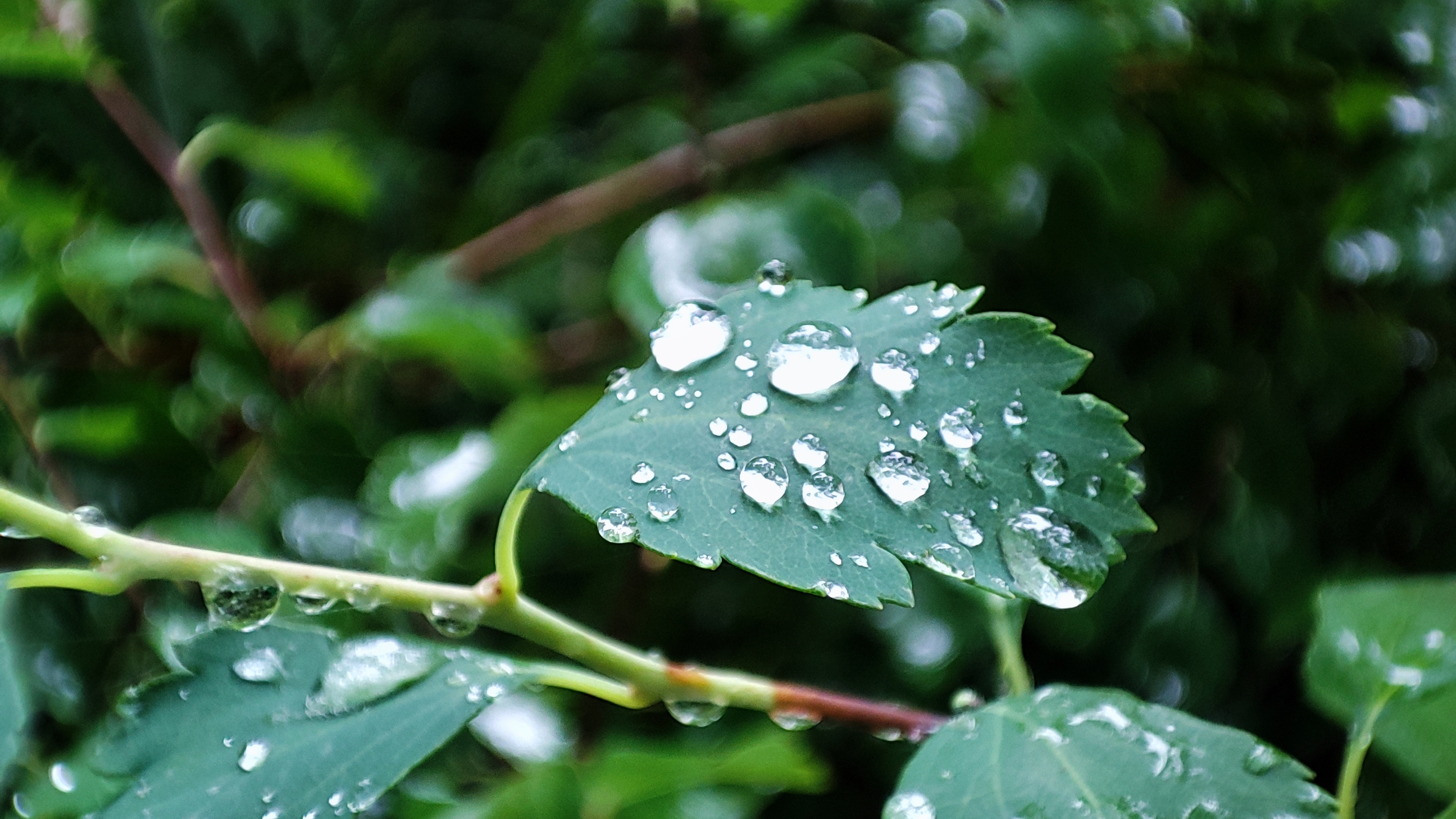 Photo n° 5 de l'avis de Cédric. fait le 03/07/2021 à 14:39