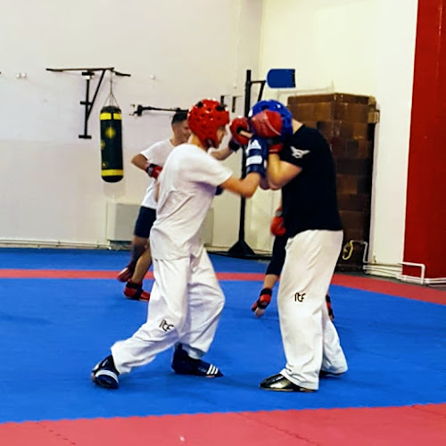 CS Hwarang Sibiu Taekwondo, Kickboxing - <nil>