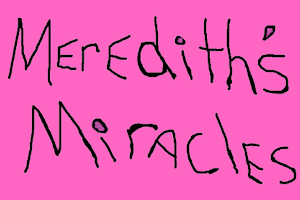 Meredith's Miracles image