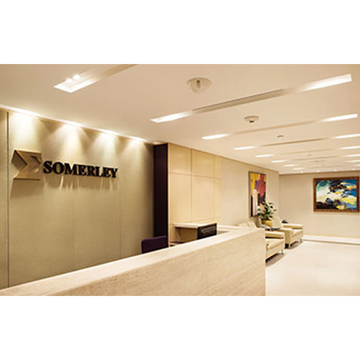 Somerley Capital Limited 新百利融資有限公司