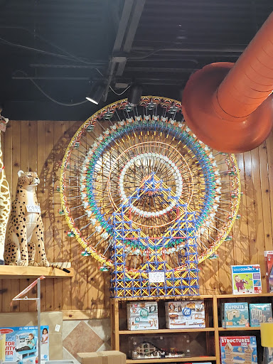 Toy Store «Dancing Bear Toys», reviews and photos, 518 Kenilworth Rd, Asheville, NC 28805, USA