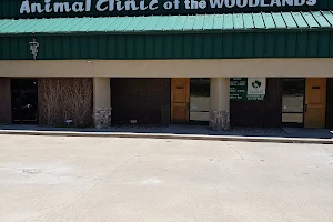 Animal Clinic of the Woodlands image