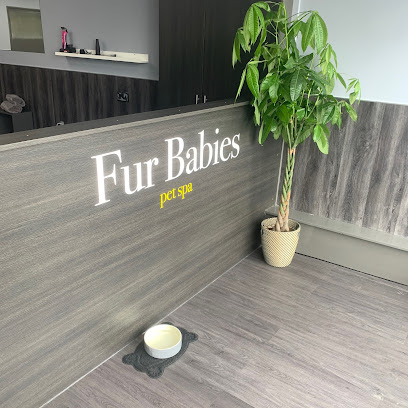 Fur Babies Spa