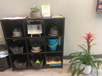 Essence of Health Wellness Clinic - Photo 5 - Car repair in Chattanooga, TN, Chattanooga