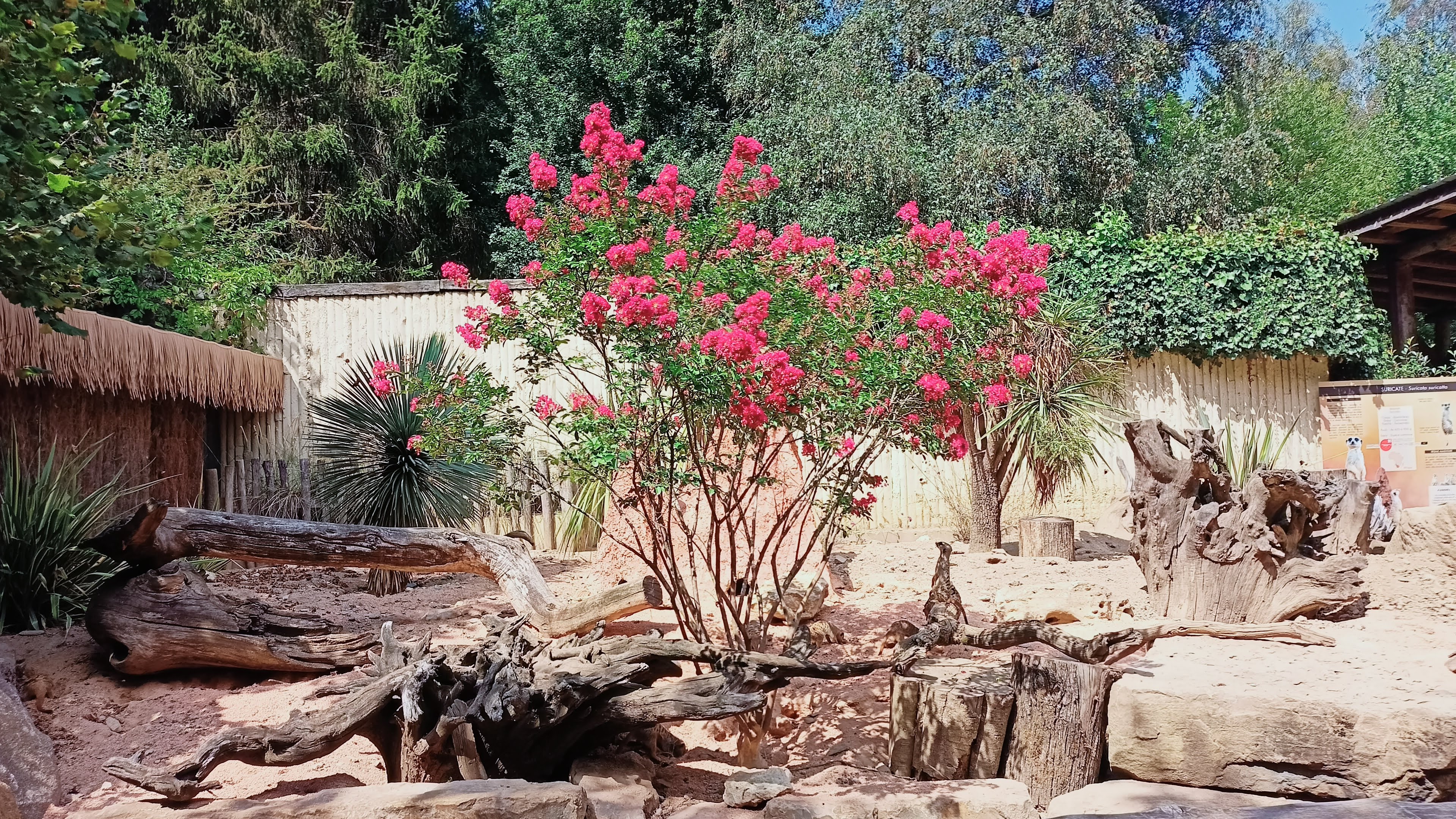 Photo n° 12 de l'avis de Tiffany.a fait le 20/08/2022 à 22:01