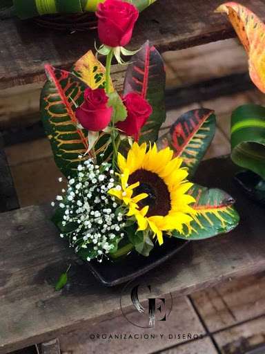 Florería Rutiflor – San Luis Potosí