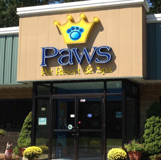 Paws Pet Resort & Spa