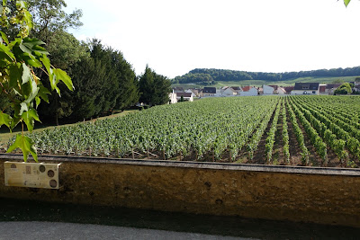 Clos Saint Vincent à Le Mesnil-sur-Oger