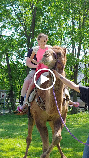 Flea Market «Montana Charlie’s», reviews and photos, 255 S Joliet Rd, Bolingbrook, IL 60440, USA