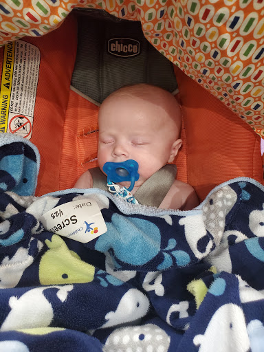 Book Store «Old Firehouse Books», reviews and photos, 232 Walnut St, Fort Collins, CO 80524, USA