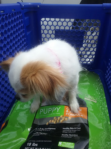 Pet Supply Store «PetSmart», reviews and photos, 2997 Max Ave, Bozeman, MT 59718, USA