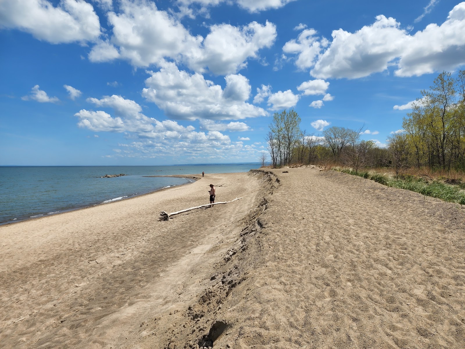 Photo de Presque Isle Beach avec sable lumineux de surface