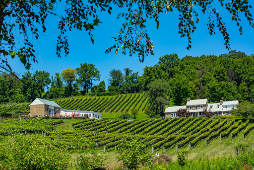 Winery «Hillsborough Vineyards», reviews and photos, 36716 Charles Town Pike, Purcellville, VA 20132, USA
