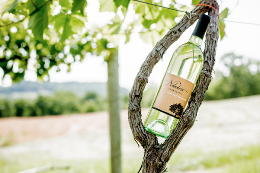 Vineyard «Noboleis Vineyards», reviews and photos, 100 Hemsath Rd, Augusta, MO 63332, USA