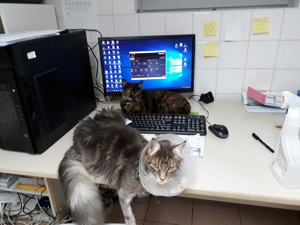 Photo n° 1 de l'avis de Alison.R fait le 28/11/2018 à 07:20