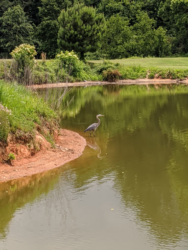 Golf Course «Chastain Park Golf Course», reviews and photos, 216 W Wieuca Rd NW, Atlanta, GA 30342, USA