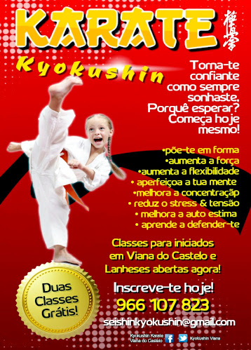 Karate Kyokushinkai Viana do Castelo (Full contact) - Academia