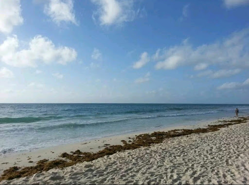 Cruise Agency «Amber Pietan Travel Agency, LLC», reviews and photos, 340 Pierce Ave, North Mankato, MN 56003, USA