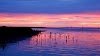 Reel Adventure Fishing Charters Melbourne Logo, Somerville, Australia, Fishing Charter