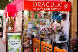 Dracula Sklepy Zoologiczne ® image