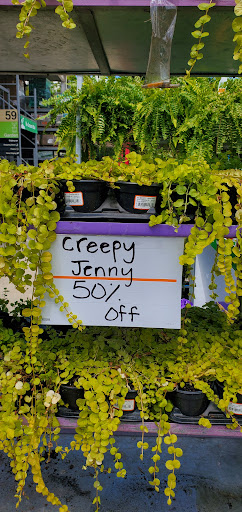 Home Improvement Store «The Home Depot», reviews and photos, 1837 Matthews Township Pkwy, Matthews, NC 28105, USA