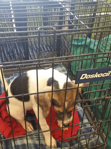 Pet Supply Store «Pet Supplies Plus», reviews and photos, 209 Towne Dr, Elizabethtown, KY 42701, USA