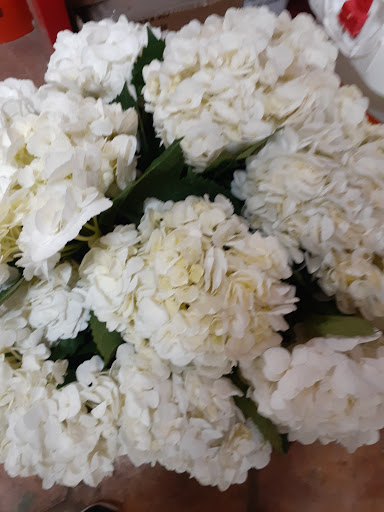 Florist «Roanoke Florist», reviews and photos, 500 US-377, Roanoke, TX 76262, USA