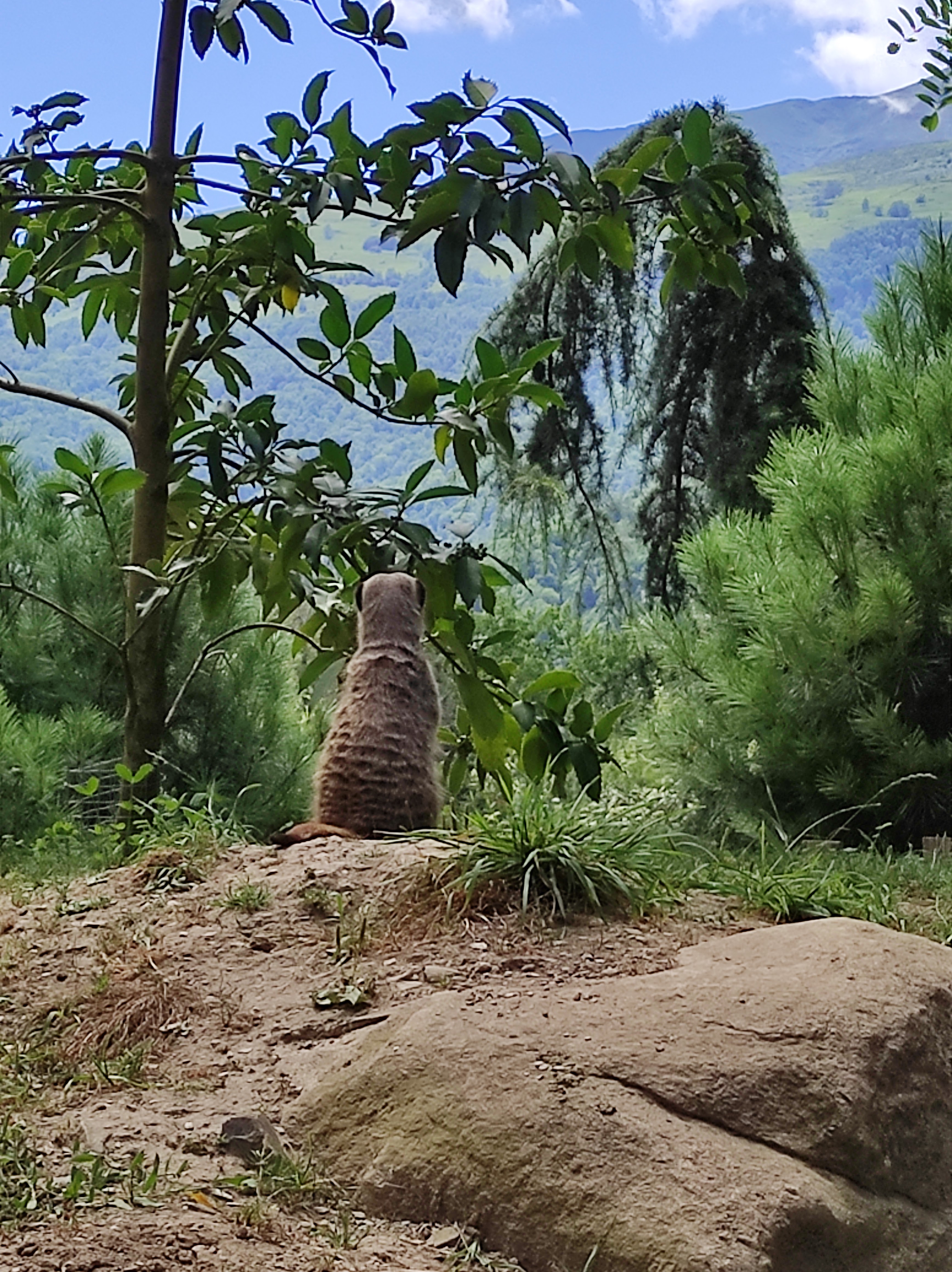 Photo n° 6 de l'avis de Nathalys.a fait le 28/07/2023 à 09:37