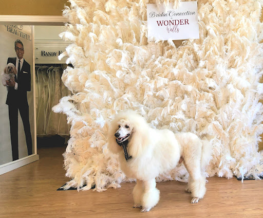 Bridal Shop «Bridal Connection», reviews and photos, 923 N Loop 1604 E #108, San Antonio, TX 78232, USA